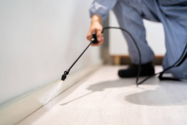 Licensed Mosquito Control service in Haslet, TX - Nex Pest Control