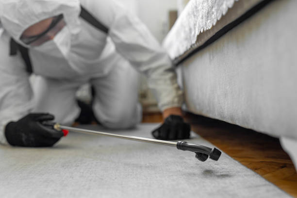 Professional Mosquito Control technician working in Haslet, TX
