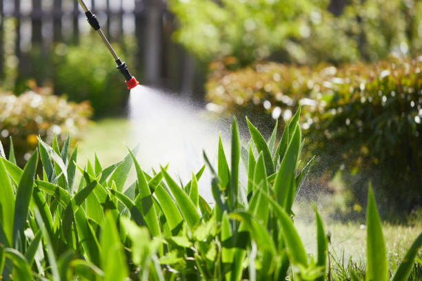24/7 Emergency Mosquito Control experts in Haslet, TX