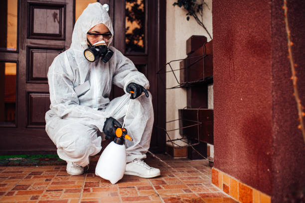 Reliable Mosquito Control contractor in Haslet, TX by Nex Pest Control